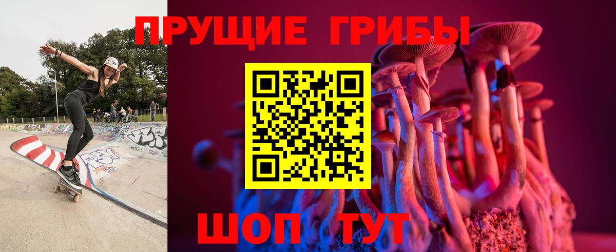 цены наркотик  Псилоцибиновые грибы GOLDEN TEACHER  Вход с VPN  Удомля 